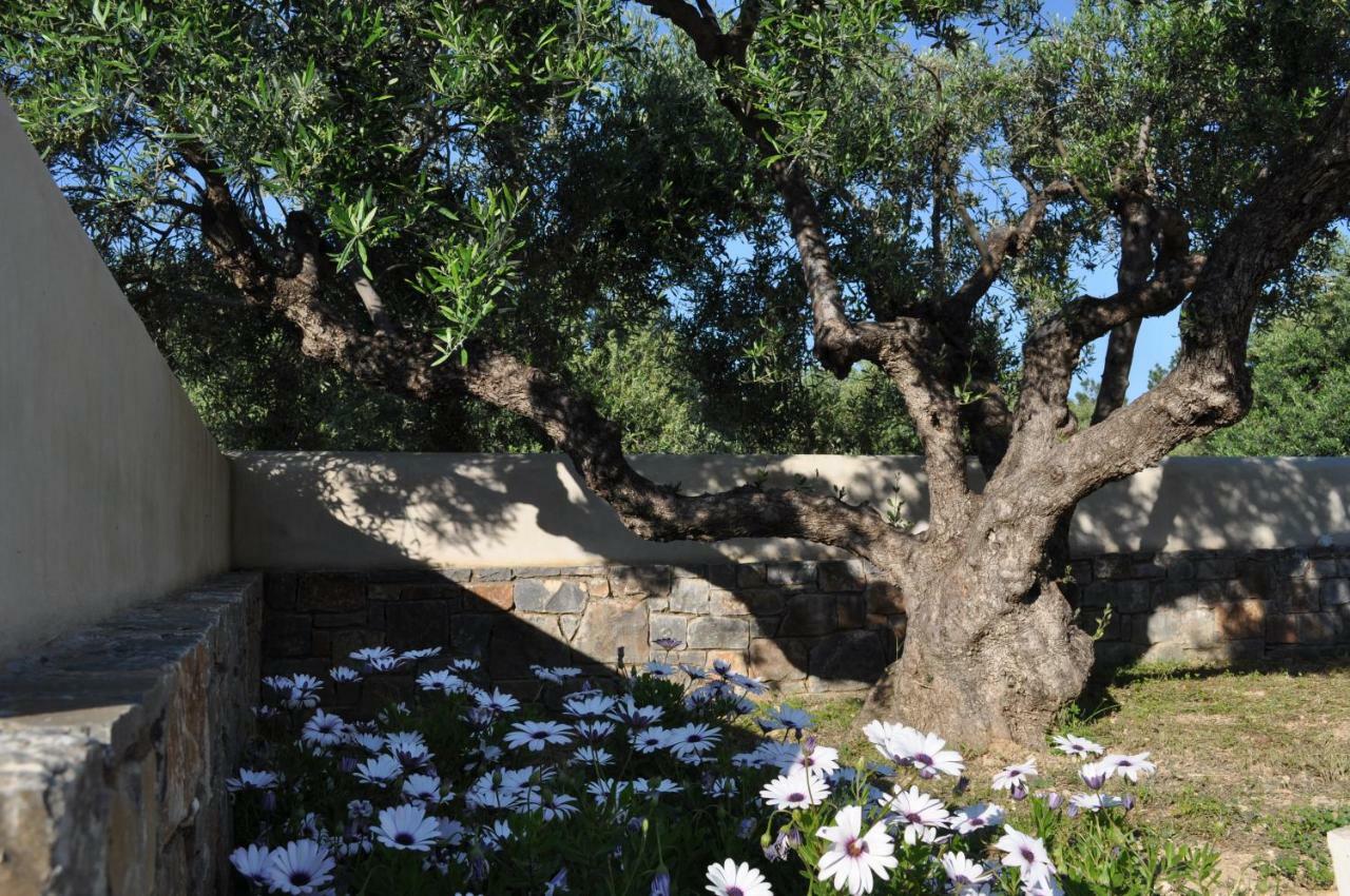 Nefeli Villas خيرسونِسوس المظهر الخارجي الصورة